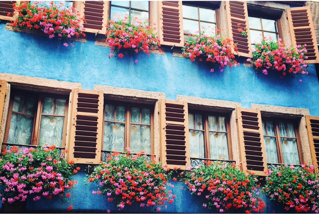 Juste à côté de Riquewihr, Ribeauvillé est un joli village fleuri et coloré, une belle étape sur la route des Vins d'Alsace